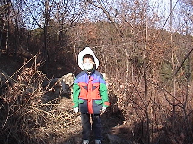 초등학교